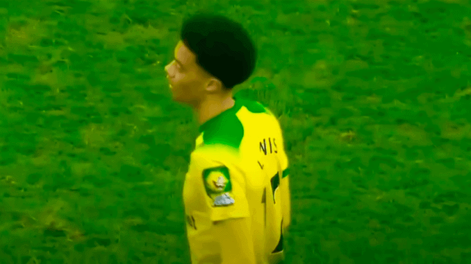 Liverpool interested in Norwich City's Jamal Lewis