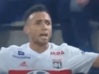 Wolves signed the Lyon defender Fernando Marcal on a 2-year contract