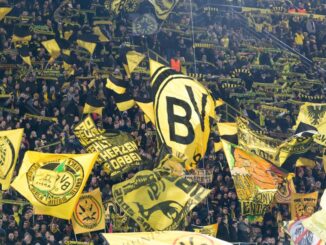 Borussia Dortmund Fan
